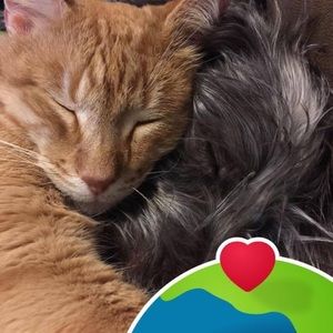 Meet your Posher, Tani